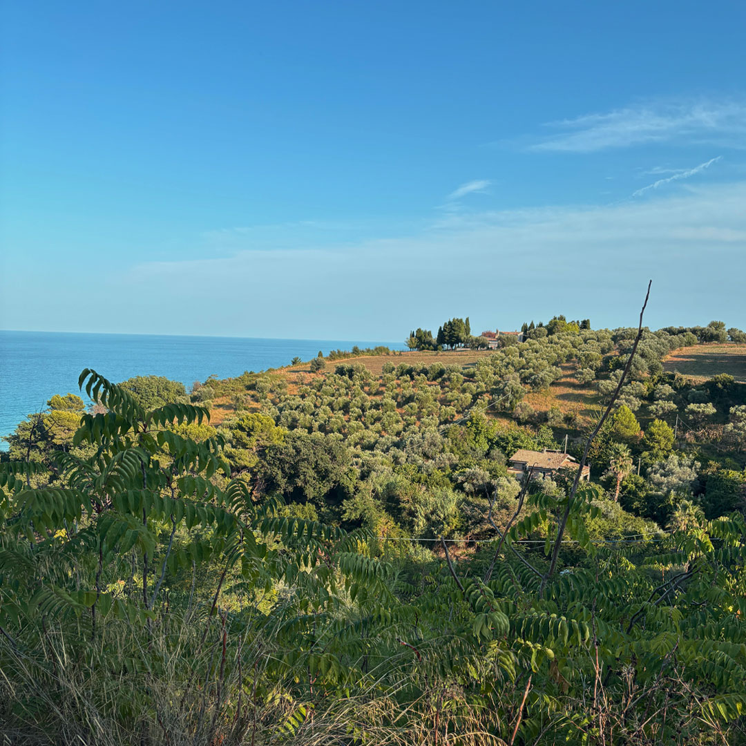 Cupra Marittima Marche